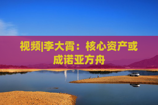 视频|李大霄：核心资产或成诺亚方舟