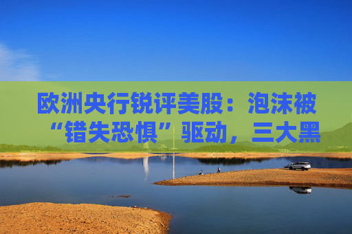 欧洲央行锐评美股：泡沫被“错失恐惧”驱动，三大黑天鹅可能引爆市场！