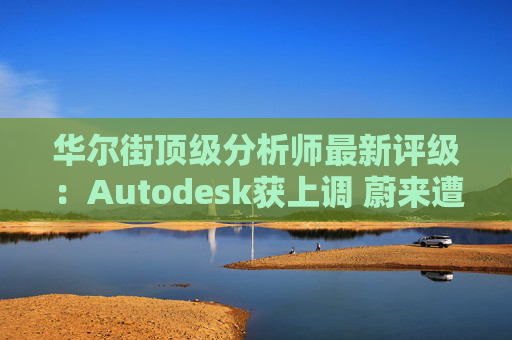 华尔街顶级分析师最新评级：Autodesk获上调 蔚来遭下调