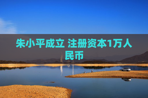 朱小平成立 注册资本1万人民币