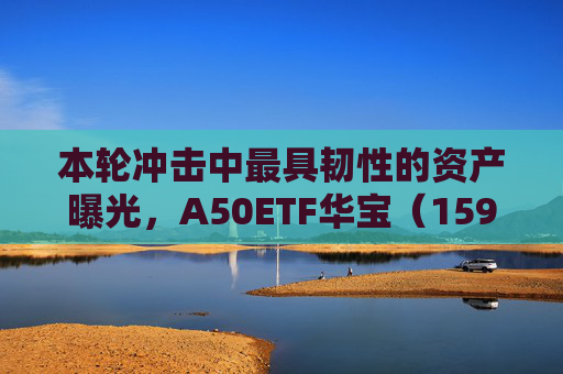 本轮冲击中最具韧性的资产曝光，A50ETF华宝（159596）连续3天获资金净申购  第1张