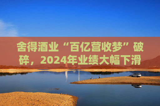 舍得酒业“百亿营收梦”破碎，2024年业绩大幅下滑  第1张