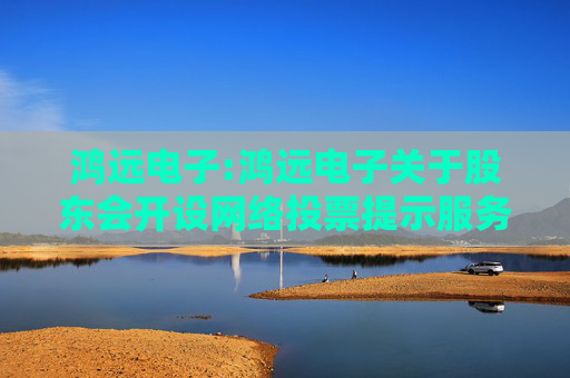 鸿远电子:鸿远电子关于股东会开设网络投票提示服务的公告