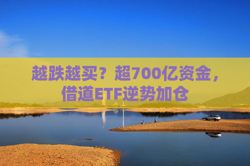 越跌越买？超700亿资金，借道ETF逆势加仓