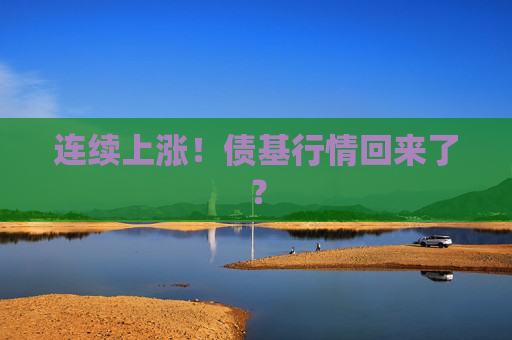 连续上涨！债基行情回来了？  第1张