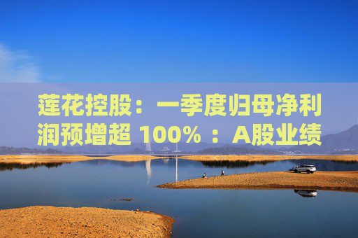 莲花控股：一季度归母净利润预增超 100% ：A股业绩亮眼  第1张