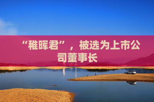 “稚晖君”，被选为上市公司董事长