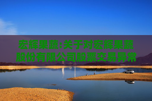 宏辉果蔬:关于对宏辉果蔬股份有限公司股票交易异常波动问询函的回复