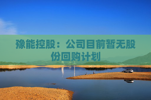 豫能控股：公司目前暂无股份回购计划