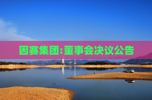 因赛集团:董事会决议公告  第1张