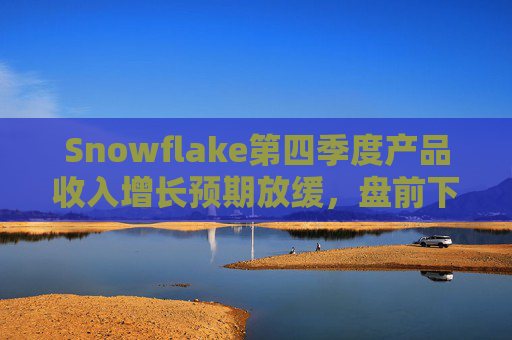 Snowflake第四季度产品收入增长预期放缓，盘前下跌8%