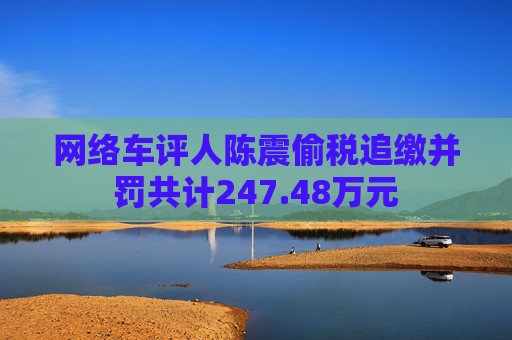 网络车评人陈震偷税追缴并罚共计247.48万元