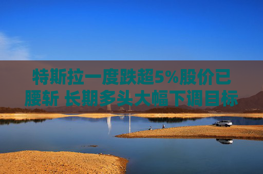 特斯拉一度跌超5%股价已腰斩 长期多头大幅下调目标价  第1张