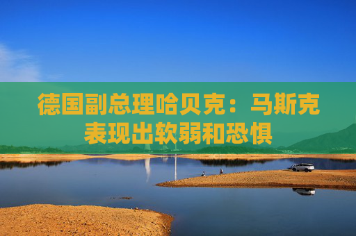 德国副总理哈贝克：马斯克表现出软弱和恐惧  第1张