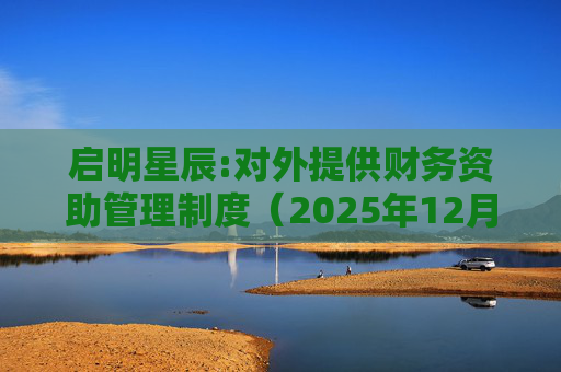 启明星辰:对外提供财务资助管理制度（2025年12月）