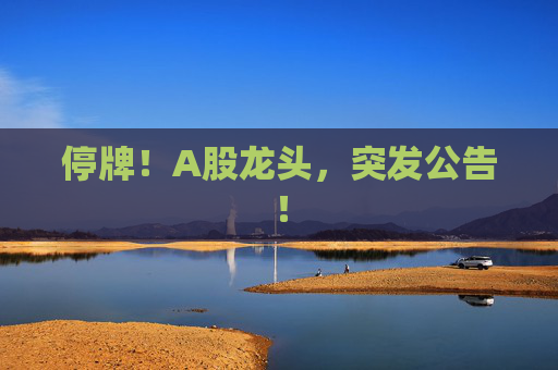 停牌！A股龙头，突发公告！