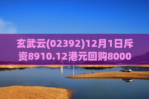 玄武云(02392)12月1日斥资8910.12港元回购8000股