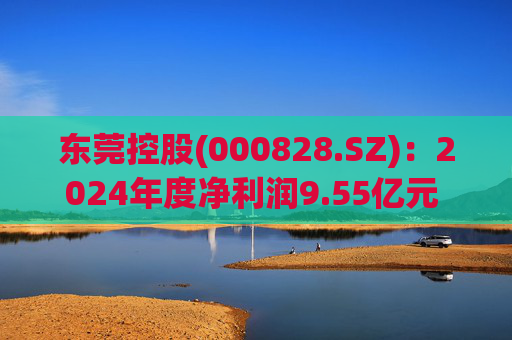东莞控股(000828.SZ)：2024年度净利润9.55亿元 拟10派3.25元