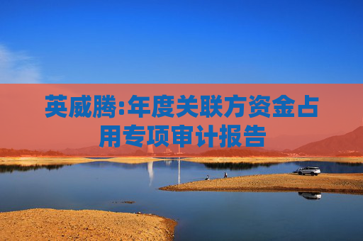 英威腾:年度关联方资金占用专项审计报告  第1张