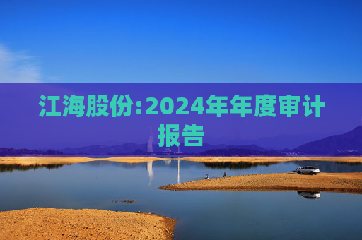 江海股份:2024年年度审计报告