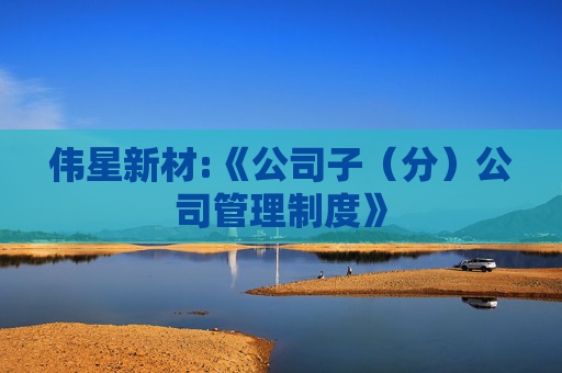 伟星新材:《公司子（分）公司管理制度》