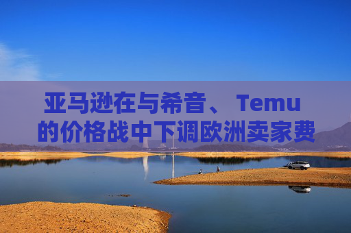 亚马逊在与希音、 Temu 的价格战中下调欧洲卖家费用
