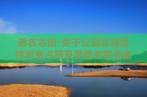 香农芯创:关于公司非经营性资金占用及其他关联资金往来情况汇总表的专项审核报告  第1张