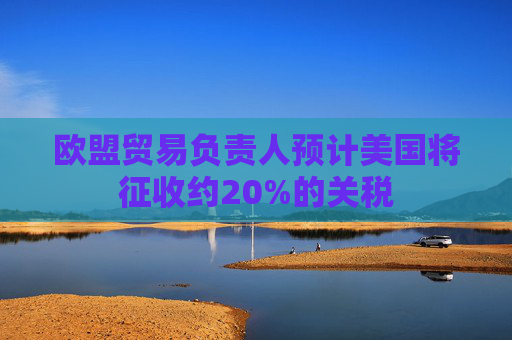 欧盟贸易负责人预计美国将征收约20%的关税
