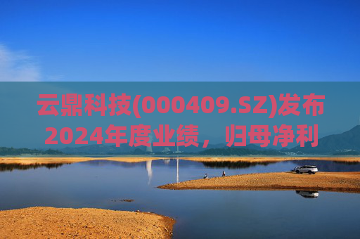 云鼎科技(000409.SZ)发布2024年度业绩，归母净利润9274.35万元，同比增长50.11%  第1张