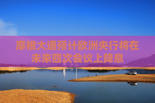 摩根大通预计欧洲央行将在未来四次会议上降息