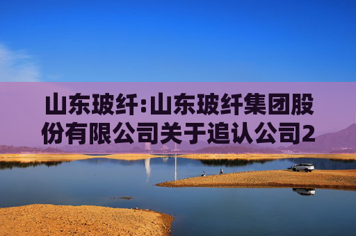 山东玻纤:山东玻纤集团股份有限公司关于追认公司2024年度关联交易及预计2025年度日常关联交易的公告
