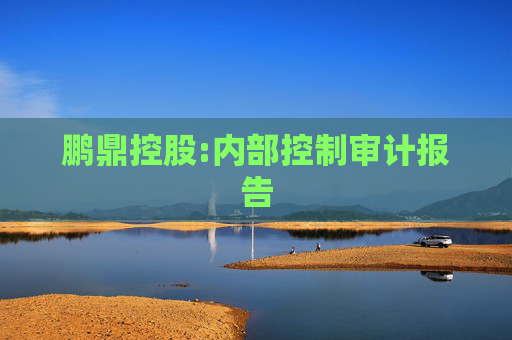 鹏鼎控股:内部控制审计报告
