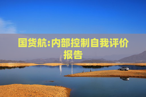 国货航:内部控制自我评价报告  第1张