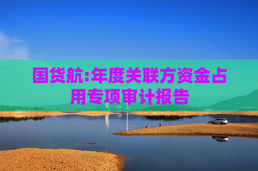 国货航:年度关联方资金占用专项审计报告