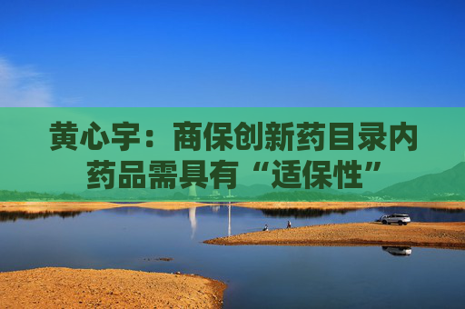 黄心宇：商保创新药目录内药品需具有“适保性”