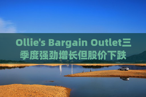 Ollie's Bargain Outlet三季度强劲增长但股价下跌  第1张
