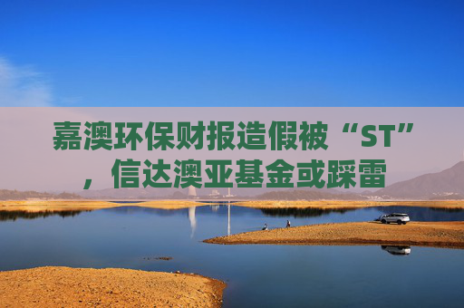 嘉澳环保财报造假被“ST”,信达澳亚基金或踩雷