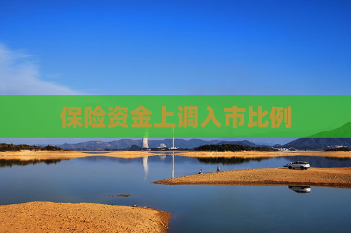 保险资金上调入市比例  第1张