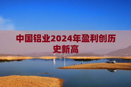 中国铝业2024年盈利创历史新高