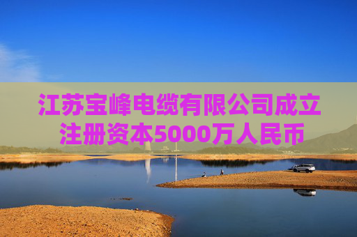 江苏宝峰电缆有限公司成立 注册资本5000万人民币