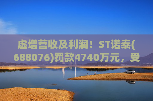 虚增营收及利润！ST诺泰(688076)罚款4740万元，受损投资者可索赔！  第1张