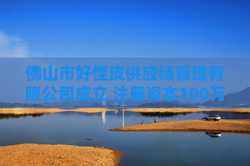 佛山市好悭皮供应链管理有限公司成立 注册资本100万人民币