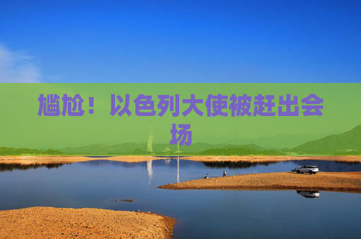 尴尬！以色列大使被赶出会场  第1张