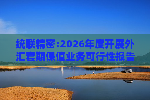 统联精密:2026年度开展外汇套期保值业务可行性报告
