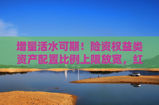 增量活水可期！险资权益类资产配置比例上限放宽，红利低波ETF（512890）连续4个交易日获资金净流入