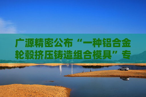 广源精密公布“一种铝合金轮毂挤压铸造组合模具”专利  第1张