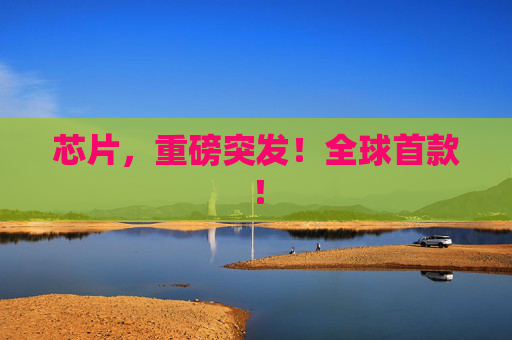 芯片，重磅突发！全球首款！