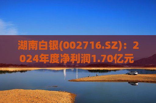 湖南白银(002716.SZ)：2024年度净利润1.70亿元 同比扭亏