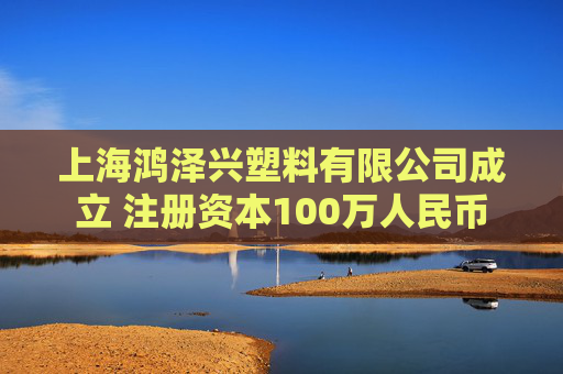 上海鸿泽兴塑料有限公司成立 注册资本100万人民币
