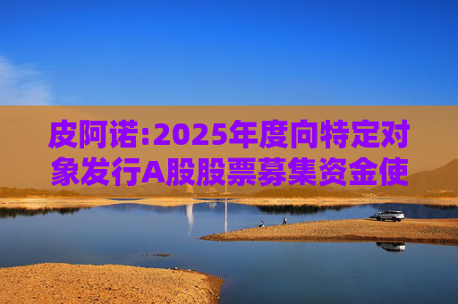 皮阿诺:2025年度向特定对象发行A股股票募集资金使用可行性分析报告